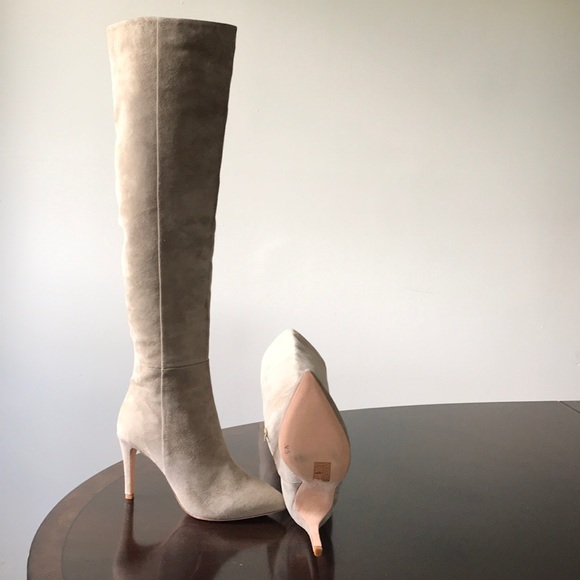 Joie Brown Suede Pointed Toe Knee hi hi heel boots - Picture 7 of 8